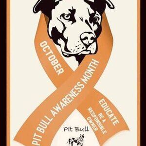 Pitbulls: The Most Misunderstood Dog